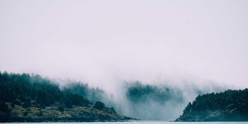 MPLS网络新定位：为编程资源与开发工具打造高效传输通道