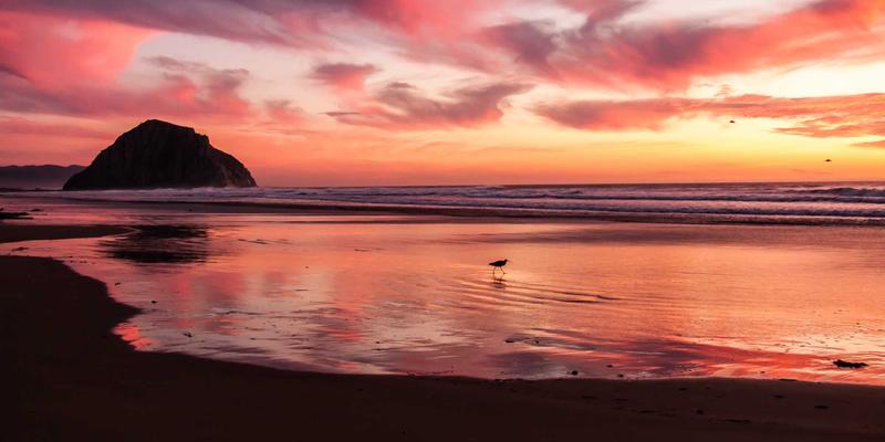 从复古网站到现代编程:网络技术进阶的传承与创新