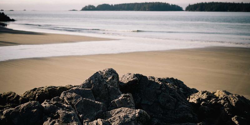从技术网站到复古网站：网络技术15年的演进与轮回