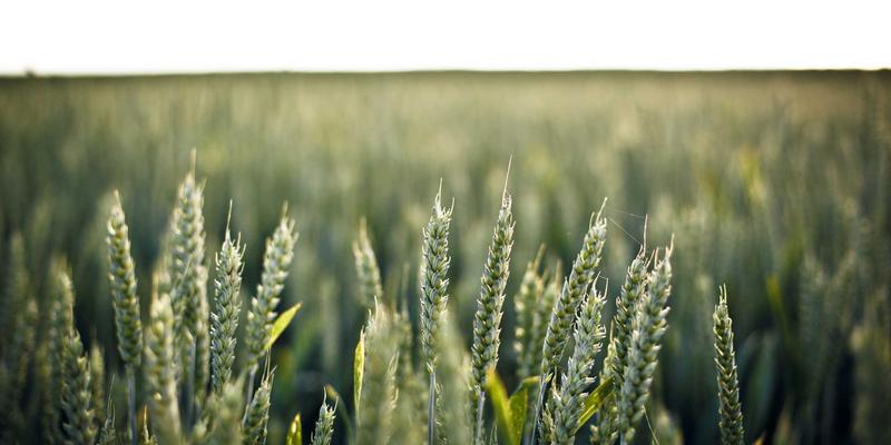 低延迟网络技术：高频交易与实时交互系统的核心技术解析与资源导航