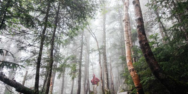 基于意图的网络（IBN）：解锁网络自动化与业务协同的编程资源与开发工具