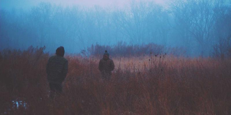 基于意图的网络（IBN）：连接复古网站与现代开发工具的下一代网络技术