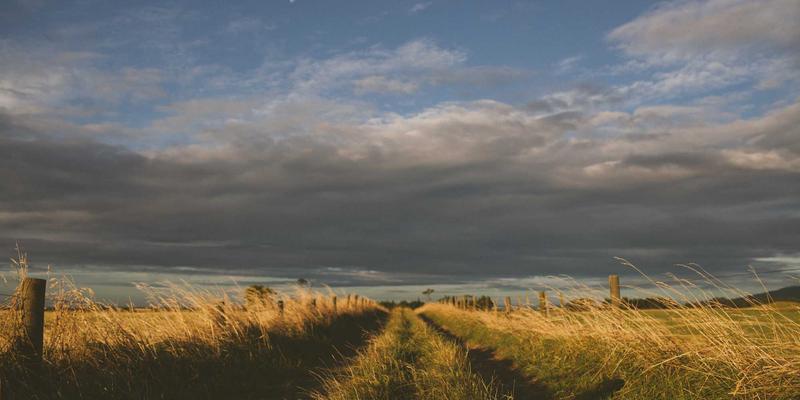 容器网络接口（CNI）对比：Calico、Cilium与Flannel的选型指南 | 编程资源与复古网站的技术导航