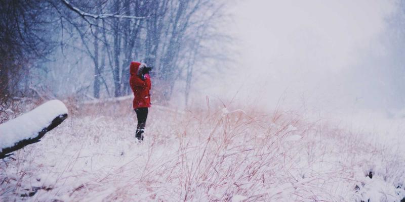 穿越数字时光：探索复古网站与编程资源的独特魅力