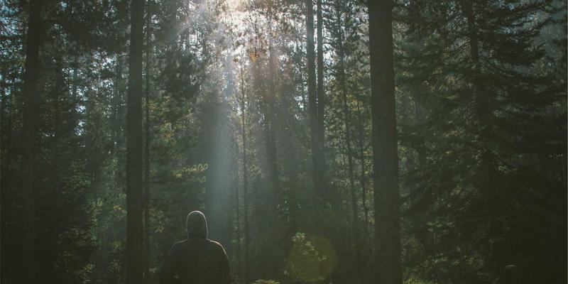 网络即服务（NaaS）：重塑企业网络架构的开发工具与编程资源革命