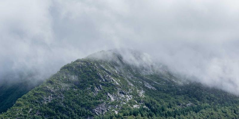 网络技术100:打造开发者专属的技术网站与资源导航指南