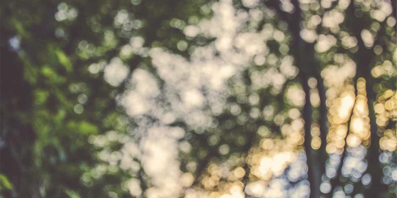 网络技术11:在复古网站与资源导航中探寻互联网的技术脉络与美学复兴