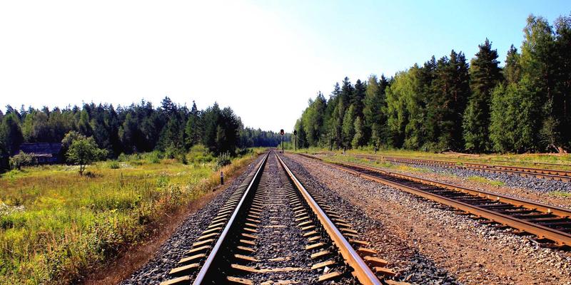 网络技术14：精选开发工具与资源导航，打造高效编程工作流