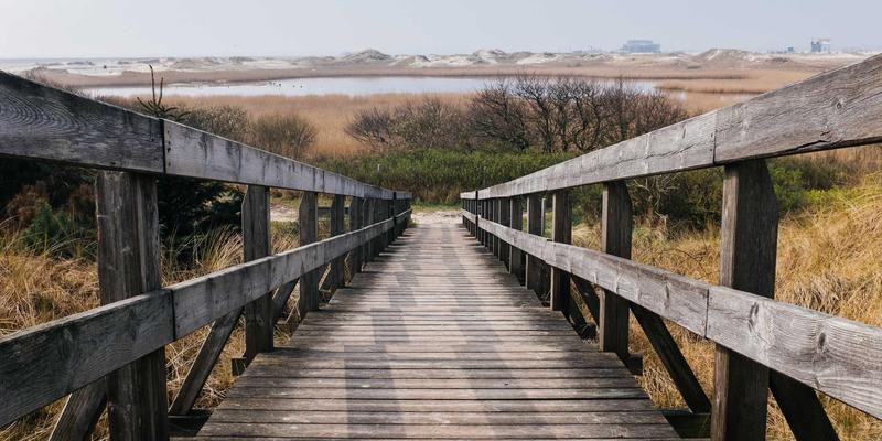 网络技术19：复古网站、编程资源与技术网站的永恒魅力