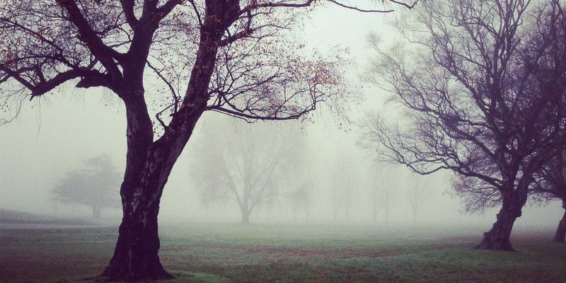 网络技术37:2024年开发者必备的开发工具与编程资源指南