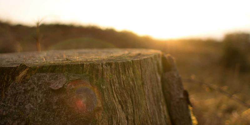 网络技术42：在复古网站与资源导航中，重拾技术探索的纯粹乐趣