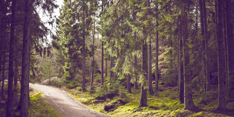 网络技术44:探索复古网站与编程资源的数字时光胶囊