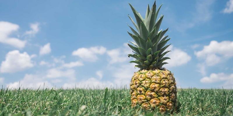 网络技术45：精选开发工具与资源导航，打造高效技术工作流