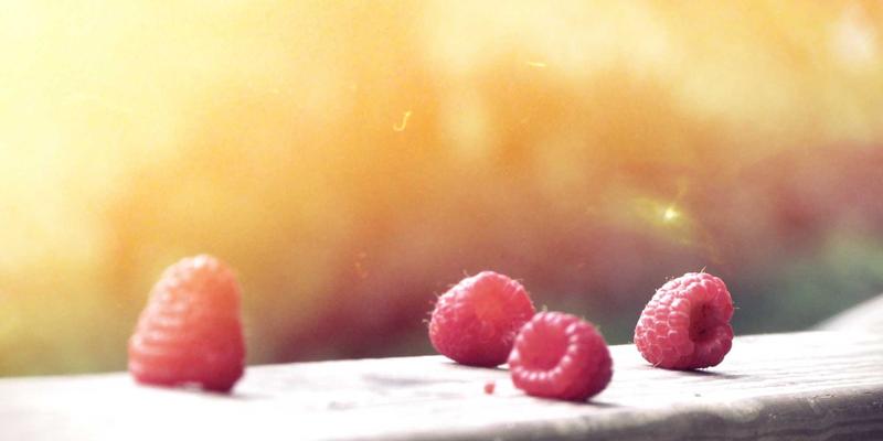 网络技术7:构建高效技术网站与资源导航的终极指南