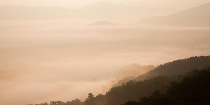 网络技术83:在复古网站中挖掘被遗忘的编程宝藏