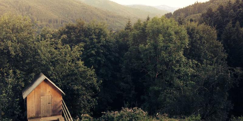 网络技术99：编程资源与导航指南，打造你的技术成长地图