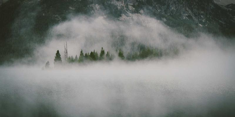 网络技术资源导航：精选编程资源与高效学习路径指南