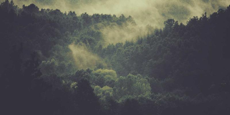 网络编码技术：革新无线传输效率的编程资源与前沿导航